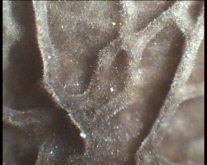 Winkel ( FRA ) 28.08.2004   2 Serie